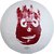 Фото Wilson Castaway