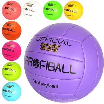 Фото Profiball EN 3283