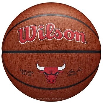 Фото Wilson NBA Team Composite BSKT Chicago Bulls (WTB3100XBCHI)