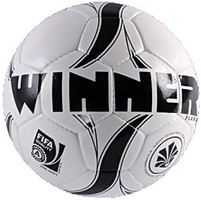 Фото Winner Flame Fifa