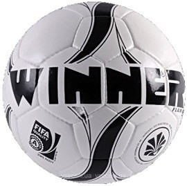 Фото Winner Flame Fifa