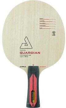Фото Joola Tezzo Guardian FL 61204