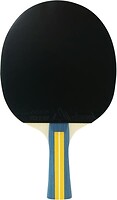 Фото Joola Team Master 52001