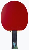 Фото Tibhar Master Alexis Lebrun