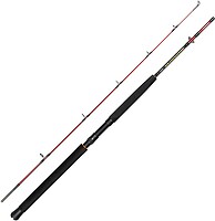 Фото Daiwa Seahunter Spin 2.13m 150-300g