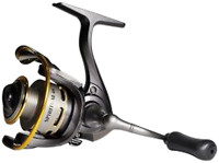 Фото Ryobi Spiritual-DX 500
