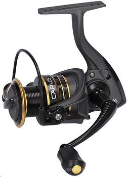 Фото Mikado Carus 3006 FD (KDA118-3006FD)