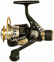 Фото Ryobi Amazon 2000
