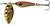 Фото Daiwa Silver Creek Spinner R 18g (Holo Akakin)