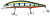Фото Duo Realis Jerkbait 100F (N568)