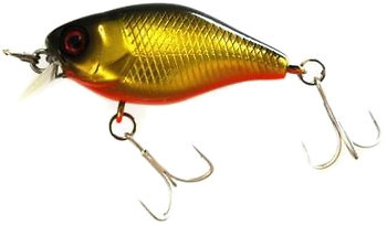 Фото Jackall Chubby 38 (Gold & Black)