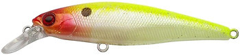 Фото Jackall Squad Minnow 65SP (Ruddy Shad)