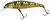 Фото Jackall Squad Minnow 65SP (Ghost g perch)