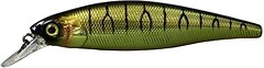 Фото Jackall Squad Minnow 95SP (HL Shinning Tiger)