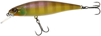 Фото Jackall Squad Minnow 95SP (Noike gill)