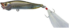 Фото Jackson Boil Call (FWA)