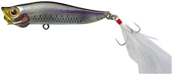 Фото Jackson Boil Call (NTS)