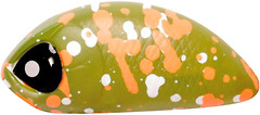 Фото Lucky John Haira Tiny Shallow Pilot 33F (504)