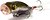 Фото Megabass Baby Pop-X (Wagin Wakasagi)