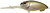 Фото Megabass MD-X Cyclone (Wagin Funa)
