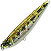 Фото Pontoon 21 ZanyZag 100DW (013)