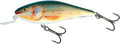 Фото Salmo Executor IEX5SR (RR)
