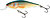 Фото Salmo Executor IEX5SR (RR)