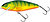 Фото Salmo Perch PH8F (HP)