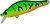 Фото ZipBaits Khamsin 70 SP-SR (995)