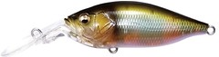 Фото Megabass Deep-X 100 (PM Oikawa)