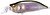 Фото Megabass IXI Shad Type-R Ito Ayu