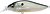 Фото Megabass Flap Slap LBO (PM Ghost Chart Shad)