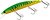 Фото Flagman Hellcat 110SP (485)