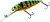 Фото Salmo Perch PH8SD (HFT)