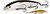 Фото Bearking Rerange 110SP (P)