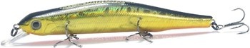 Фото Bearking Orbit 110SP (E)