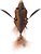 Фото Savage Gear 3D Bat (Brown)