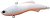 Фото Madness Shiriten Vibe 53 (18)