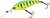 Фото Yo-Zuri Hardcore Shad R1382 (HT)