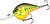 Фото Rapala Dives-To DT16 (CRTBC)
