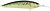 Фото Alex Costa Mid Runner CS10MR Green Hot Wahoo (GHW)