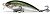 Фото Alex Tango Deep Runner TG6DR Green Mackerel (GMK)