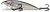 Фото Alex Tango Deep Runner TG6DR Rainbow Trout (RT)
