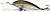 Фото Alex Tango Deep Runner TG6DR Golden Shiner (GS)