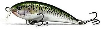 Фото Alex Tango Deep Runner TG7DR Beryl Mackerel (BMK)