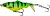 Фото Savage Gear 3D Fat Smashtail F (Firetiger)
