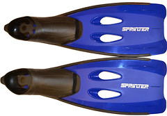 Фото Sprinter 431 L