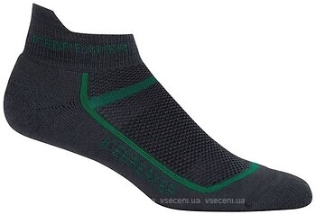 Фото Icebreaker Multisport Light Micro Men (101485)