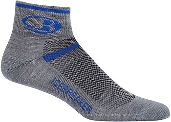 Фото Icebreaker Multisport Ultralight Mini Men (101483)