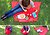Фото Baby Safety SPH01